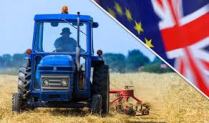 160902 Brexit farming